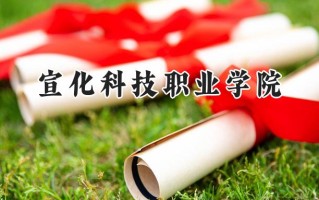 2024宣化科技职业学院录取分数线：河南最低318分