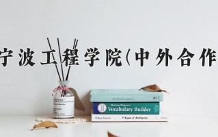 2024宁波工程学院(中外合作)录取分数线，重庆录取最低分498