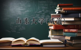 2024年山东大学(威海)录取分数线，河北最低611分
