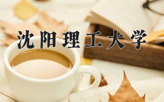 沈阳理工大学一年学费多少钱及各专业的收费标准(2025参考）