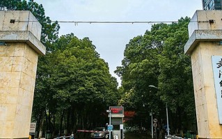 武汉纺织大学王牌专业排名-含2025年全国各省录取最低分数线