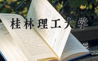 网络营销与直播电商专业2025年广东招生院校有哪些？含学费及招生人数