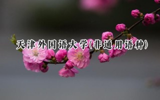 2024天津外国语大学(非通用语种)录取分数线：河南最低516分
