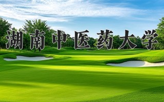 2024湖南中医药大学录取分数线：浙江最低529分