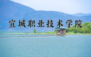 2024年宣城职业技术学院录取分数线，河北最低374分