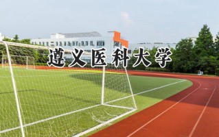 遵义医科大学2024在山东录取分数线是多少？最低519分/最高576分