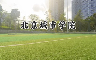 2024北京城市学院录取分数线：宁夏最低374分