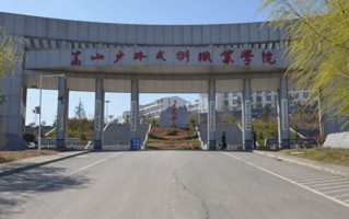 体育运营与管理学费多少？附河南2024年招生的大学