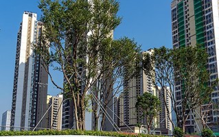 深圳技术大学全国排名及2024年最低录取分数线