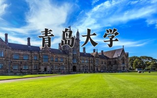 青岛大学最厉害的专业-2024青岛大学最好专业