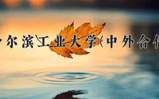 2024年哈尔滨工业大学(中外合作)录取分数线，内蒙古最低606分