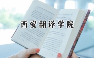 西安翻译学院2024在山东录取分数线是多少？最低290分/最高483分