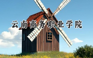 云南商务职业学院2024在青海录取分数线是多少？最低172分/最高295分