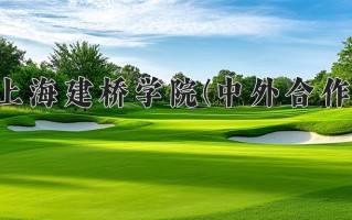 2025年上海建桥学院(中外合作)在四川计划招生人数（附学费及专业录取分)