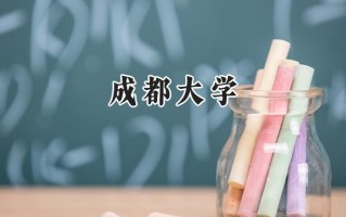 成都大学2024在上海录取分数线是多少？最低460分/最高469分