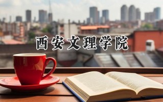 2024西安文理学院录取分数线：陕西最低467分