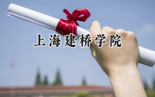 上海建桥学院2024在浙江录取分数线是多少？最低408分/最高558分