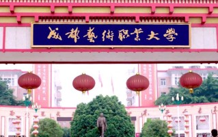 2024年成都艺术职业大学录取分数线，河北最低270分