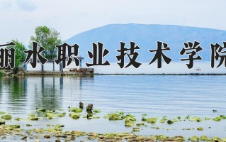 丽水职业技术学院学费多少钱一年：6000-7590元/年（2025填报参考）