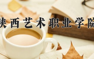 2025年陕西艺术职业学院在四川计划招生人数（附学费及专业录取分)