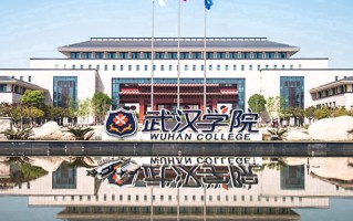 2024年武汉学院录取分数线，新疆最低295分