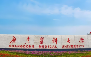 广东医科大学2024年各学科排名一览表！附教育部评级比例