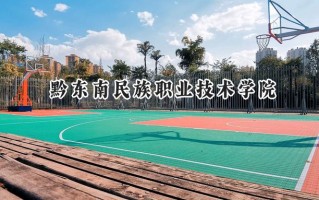 黔东南民族职业技术学院2024在青海录取分数线是多少？最低302分/最高377分