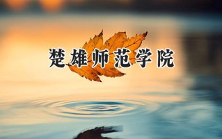 楚雄师范学院2024在浙江录取分数线是多少？最低516分/最高572分