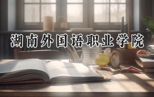 湖南外国语职业学院2024在江苏录取分数线是多少？最低233分/最高413分