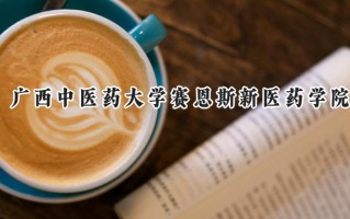 2024广西中医药大学赛恩斯新医药学院录取分数线：陕西最低431分