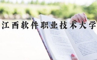 2024江西软件职业技术大学录取分数线，重庆录取最低分180