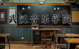 武汉音乐学院最厉害的专业-2024武汉音乐学院最好专业