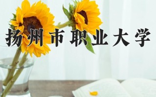 2025年扬州市职业大学在四川计划招生人数（附学费及专业录取分)