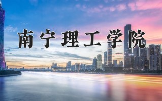 2024南宁理工学院录取分数线，重庆录取最低分428