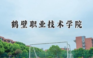 鹤壁职业技术学院2024在青海录取分数线是多少？最低253分/最高320分