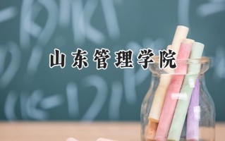 山东管理学院2024在内蒙古录取分数线是多少？最低398分/最高471分
