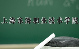 2025年上海东海职业技术学院在四川计划招生人数（附学费及专业录取分)