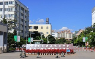 2024云南医药健康职业学院录取分数线，重庆录取最低分180