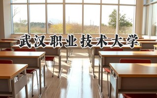 武汉职业技术大学2024在内蒙古录取分数线是多少？最低312分/最高383分