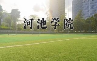 河池学院王牌专业排名-含2025年全国各省录取最低分数线