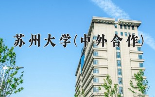 2025年苏州大学(中外合作)在四川计划招生人数（附学费及专业录取分)