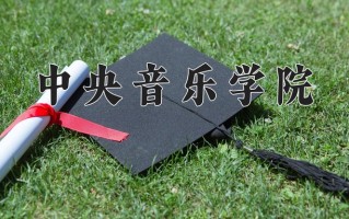 中央音乐学院2024年各学科排名一览表！附教育部评级比例