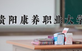 2025年贵阳康养职业大学在四川计划招生人数（附学费及专业录取分)