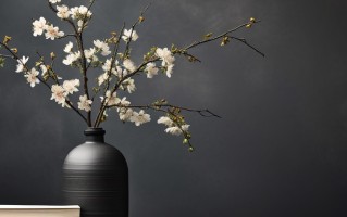 康复物理治疗专业毕业能从事什么行业？附康复物理治疗专业就业方向及前景