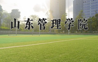 山东管理学院最厉害的专业-2024山东管理学院最好专业