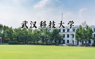 2024武汉科技大学录取分数线：天津最低587分