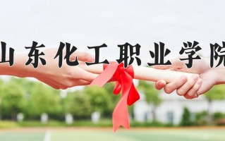 辽宁考生多少分能上山东化工职业学院？2025最低245分