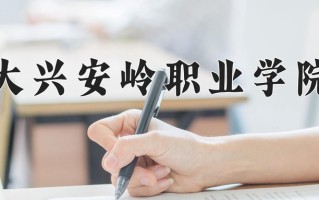 辽宁考生多少分能上大兴安岭职业学院？2025最低313分
