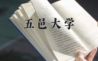 五邑大学一年学费多少钱及各专业的收费标准(2025参考）