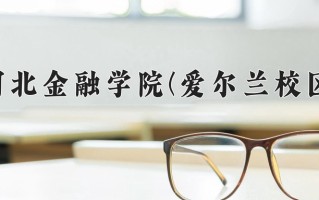 2024年河北金融学院(爱尔兰校区)录取分数线，河北最低450分